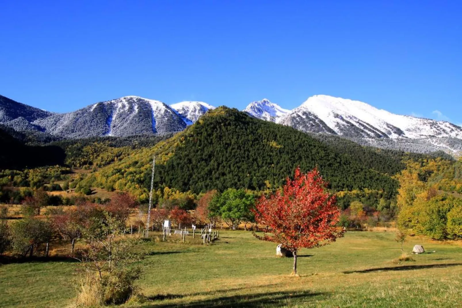 Cobert d'en Piarró-Gebiete Sommer 5 km