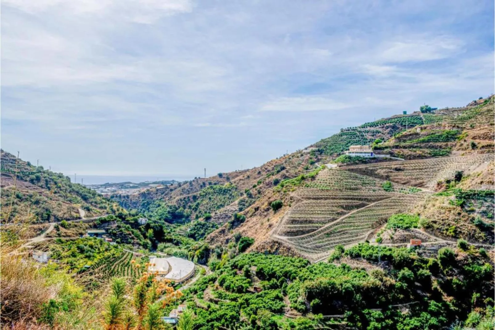 Villa Alejandro-Areas within 5km in summer