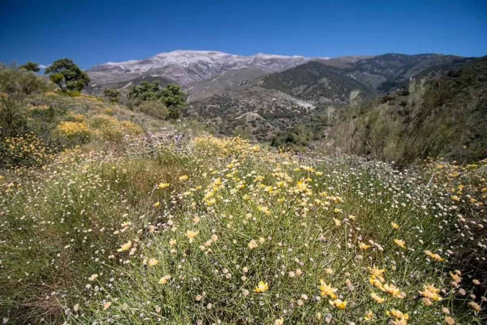 El Kedel-Gebiete Sommer 20 km
