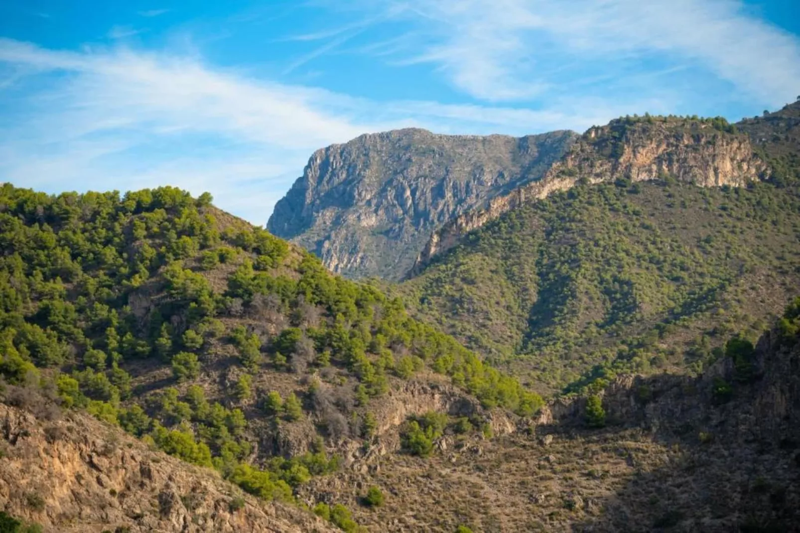 Cortijo Albaricoque-Areas within 20km in summer
