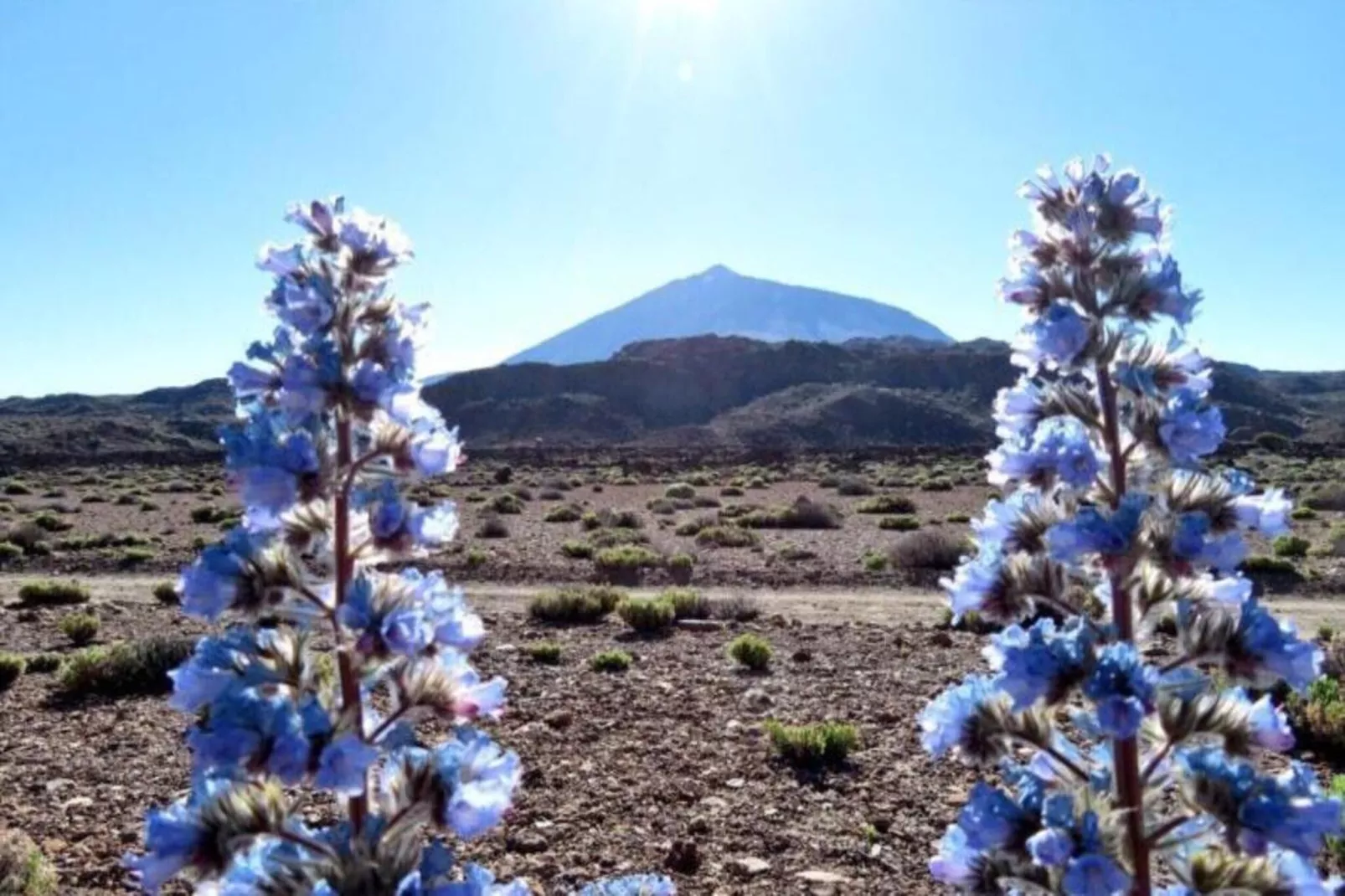 Studio El Sombrero-Areas within 20km in summer