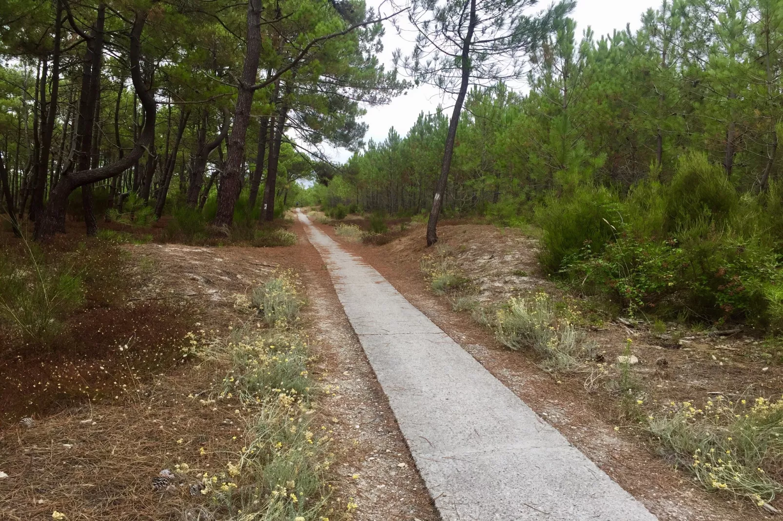 Clos les Pins-Gebiete Sommer 1 km
