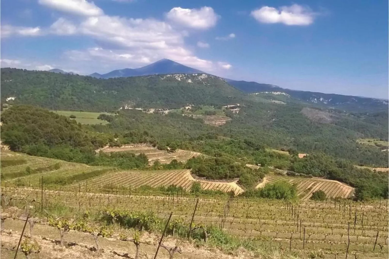 Les Demeures du Ventoux 1-Areas within 20km in summer