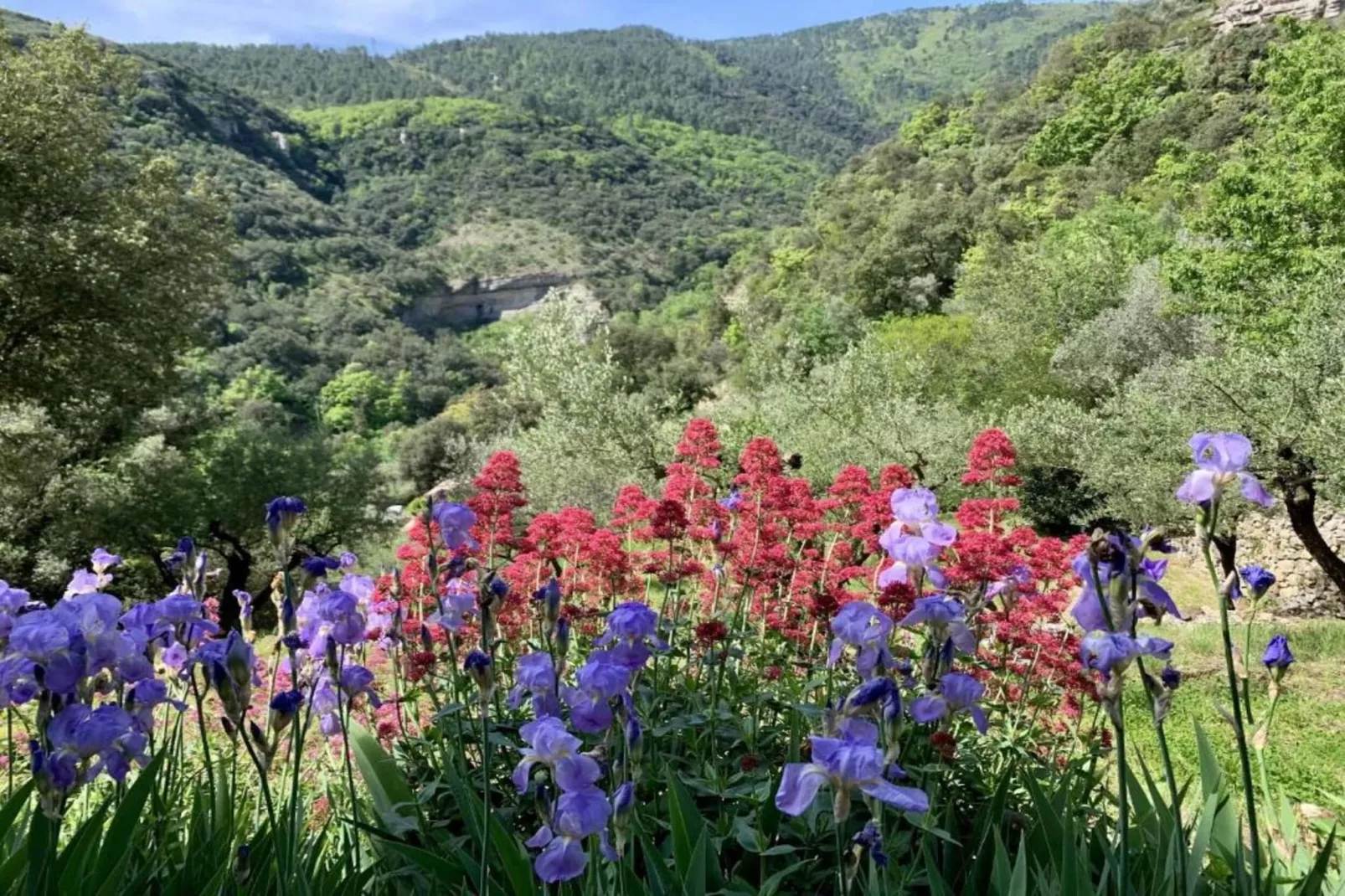 Les Hortensias-Areas within 20km in summer