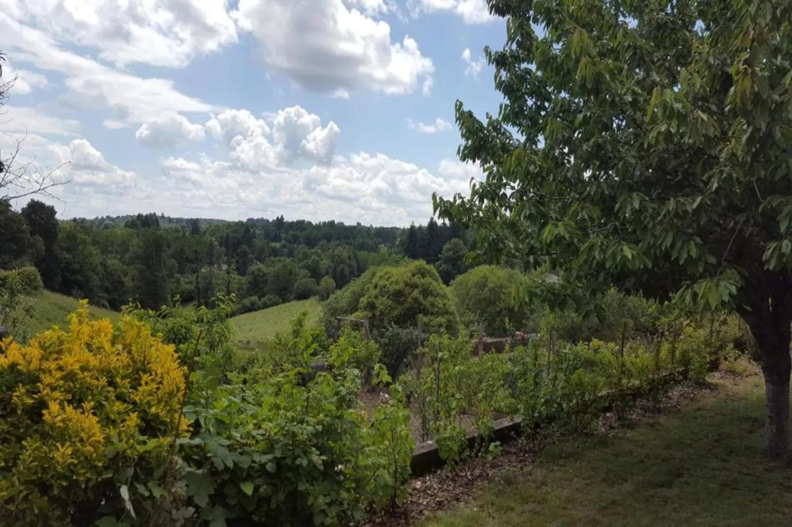 Domaine de Bellac 32P-Zones été à 20 km