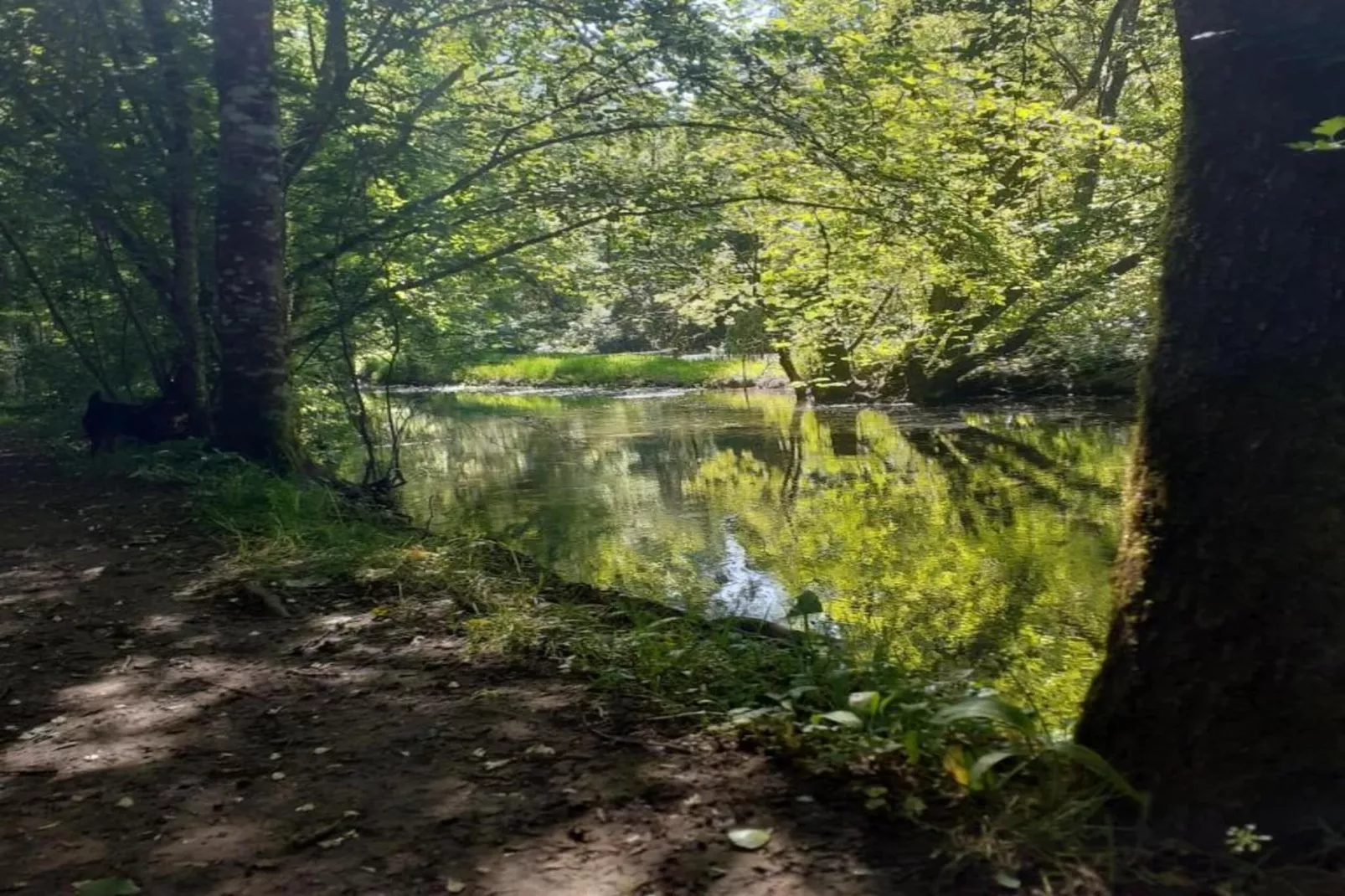 Le petit Nichoir-Areas within 20km in summer