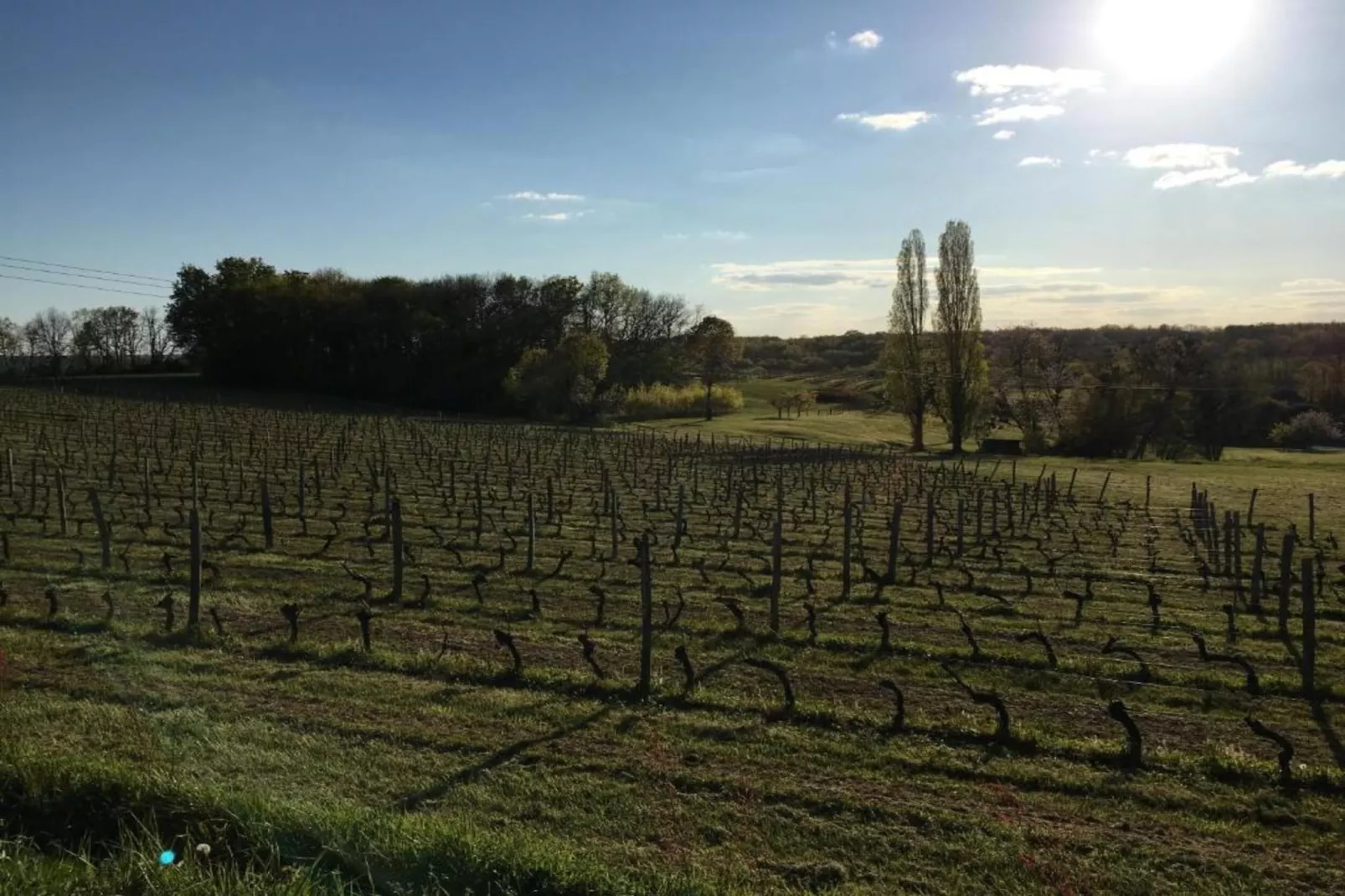 L'Hoste-Zones été à 20 km
