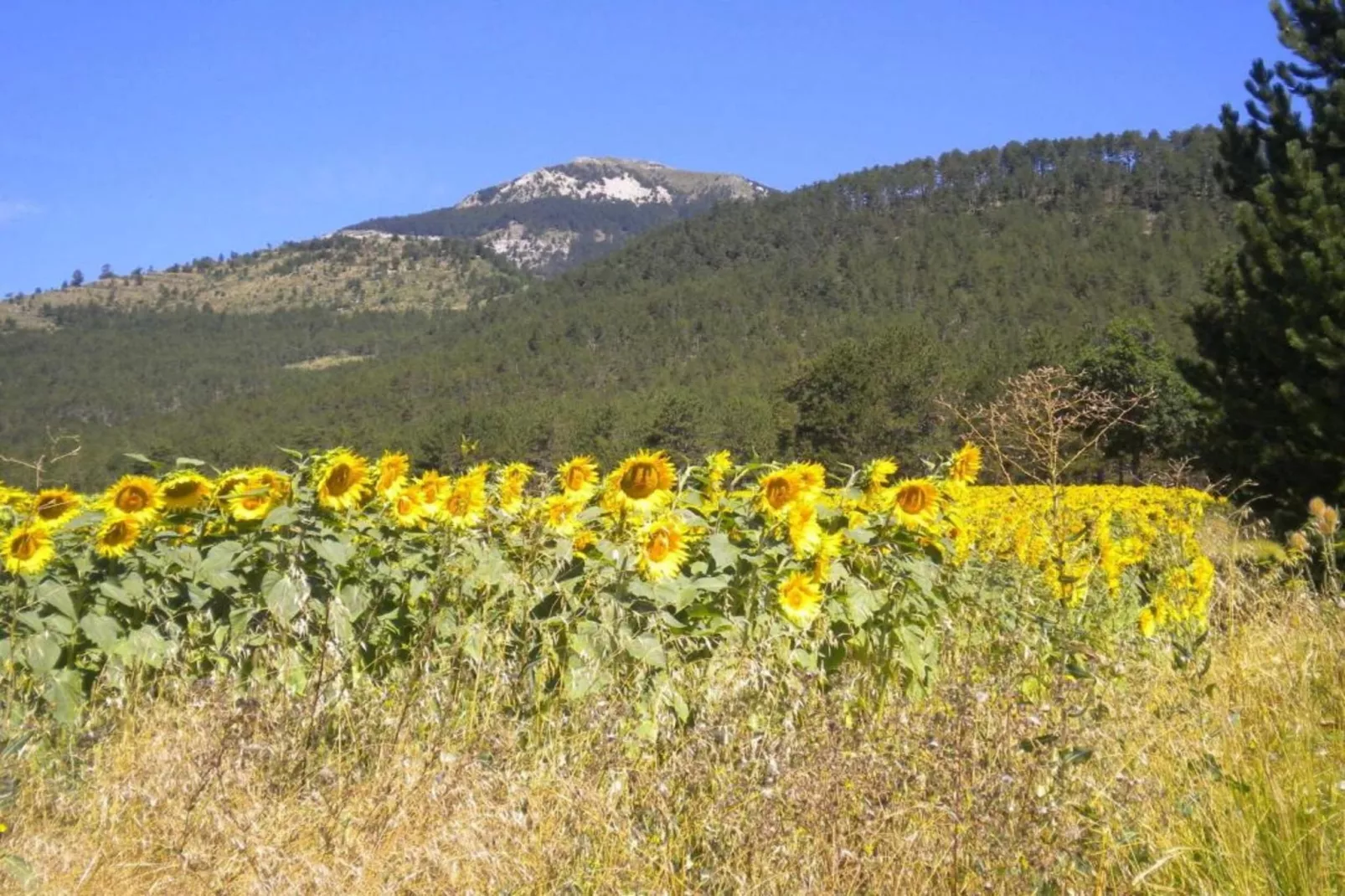 Maison de vacances - MARIGNAC-EN-DIOIS-Gebiete Sommer 20 km