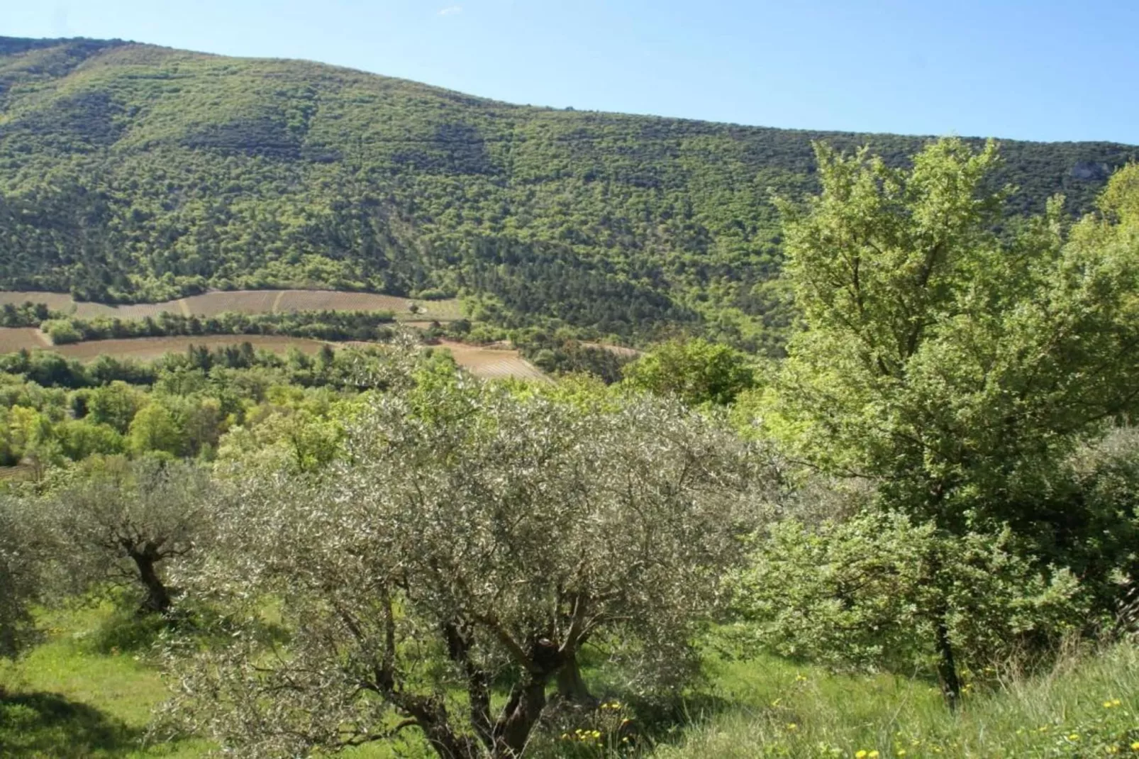 Studio - MONTBRUN-LES-BAINS-Areas within 5km in summer