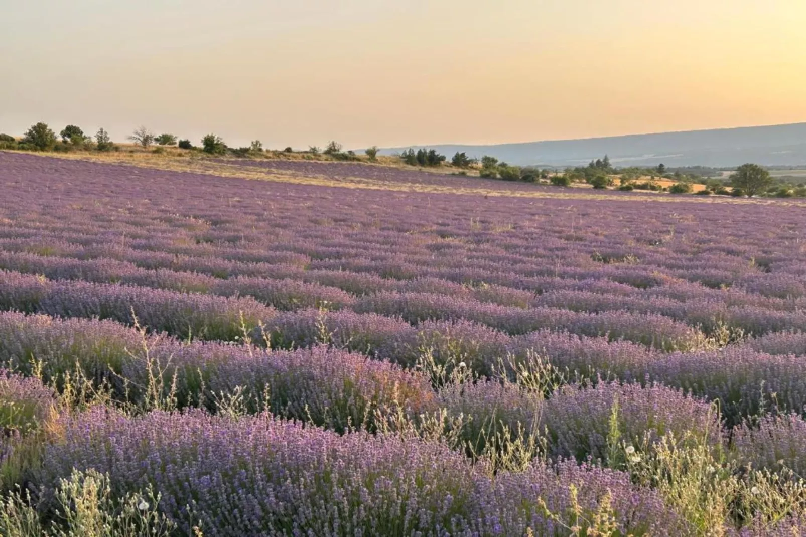 Au château près du Ventoux V-Areas within 5km in summer