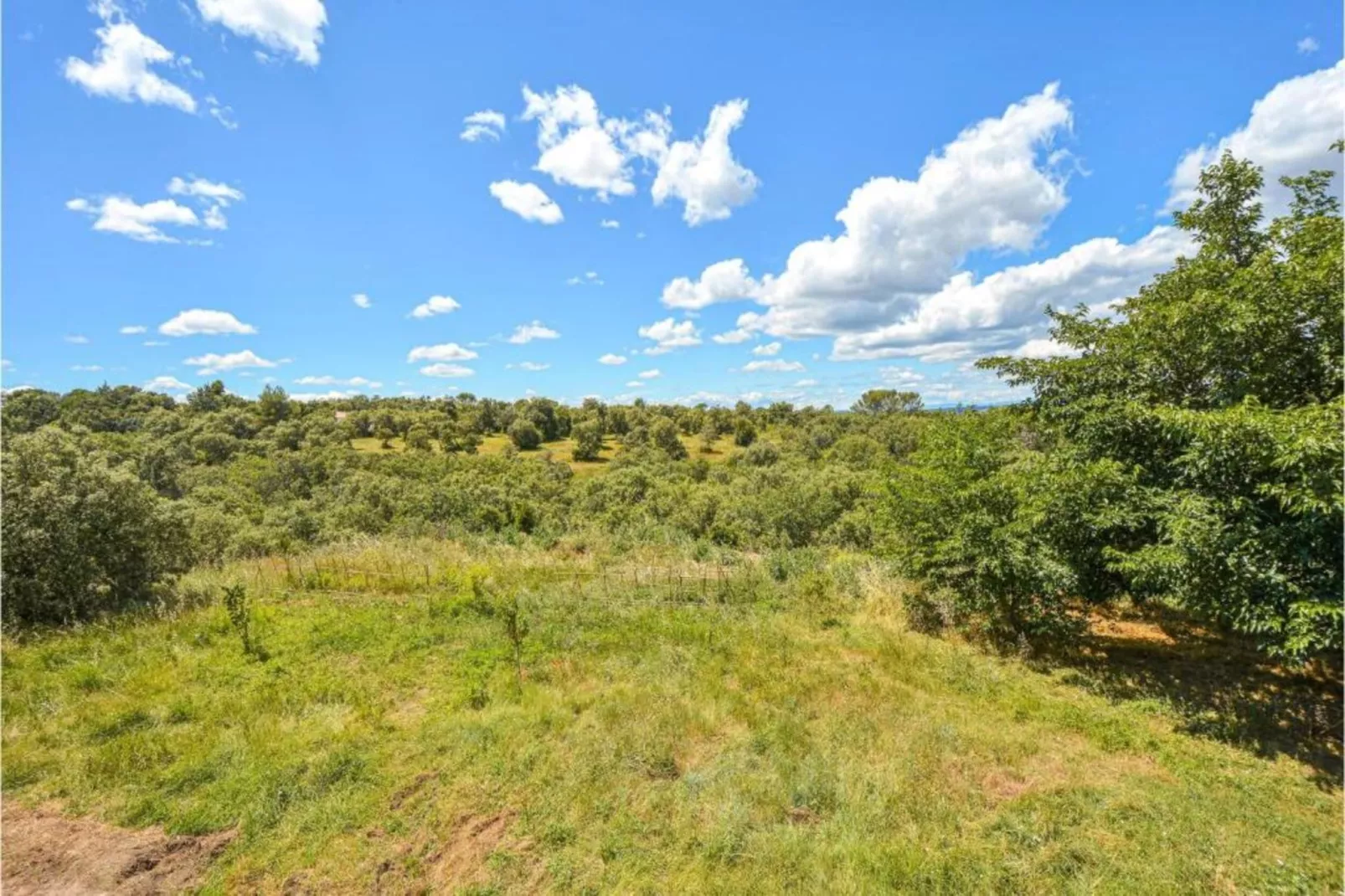 Grande Villa Vue Panoramique-Areas within 20km in summer