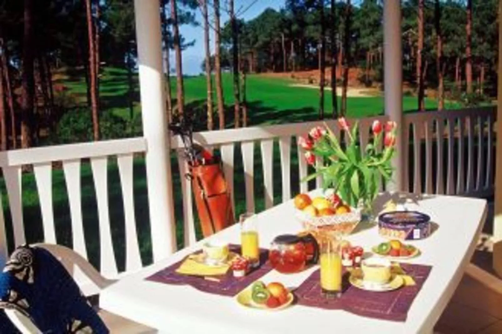 Eden Parc Golf 2