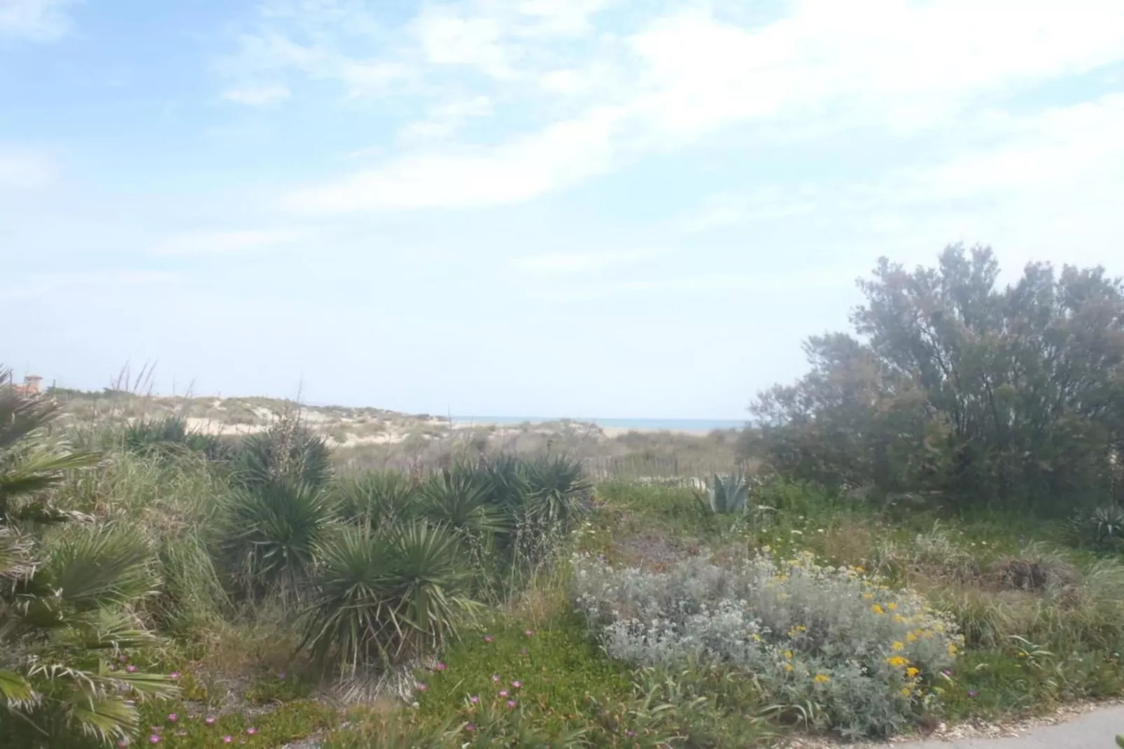 La Grenadine 3-Areas within 5km in summer