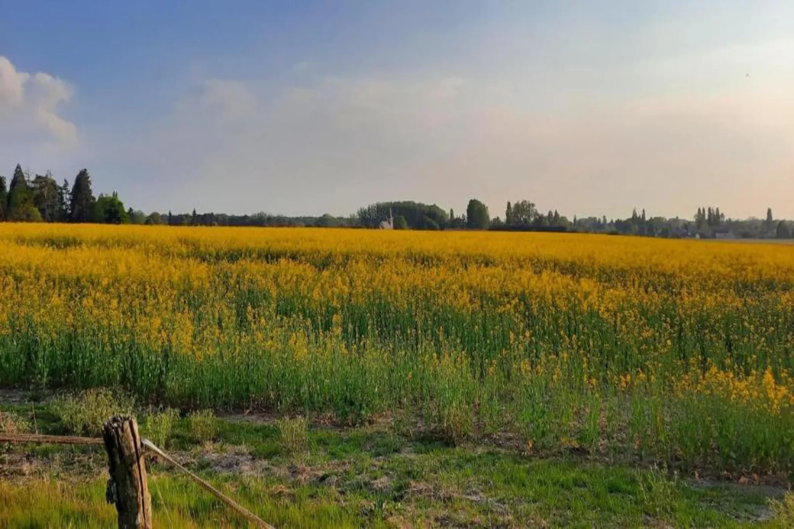 Maison de vacances - CHILLEURS-AUX-BOIS-Areas within 20km in summer
