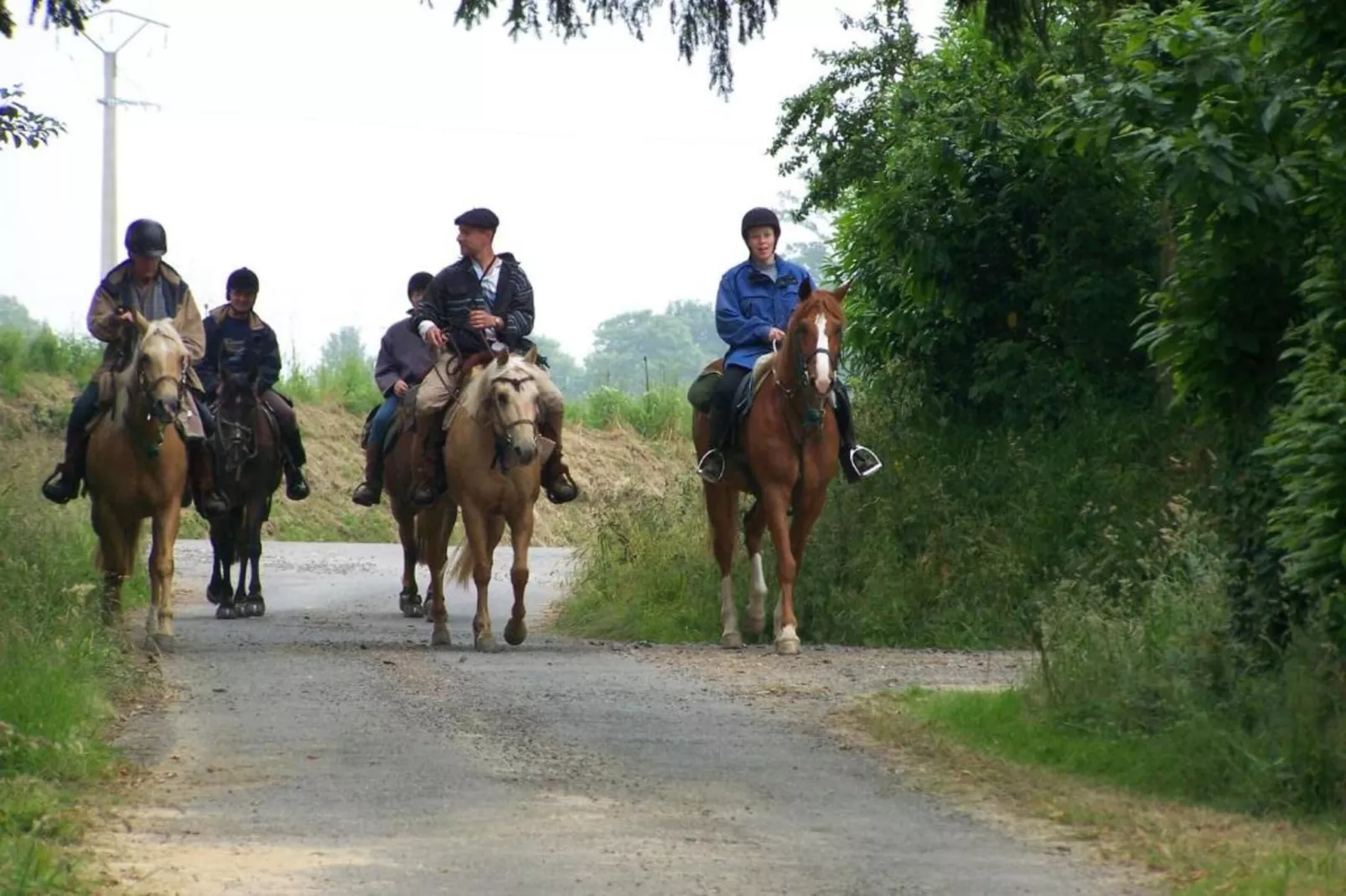 Gite 6 pers proche Mont St Michel-Areas within 20km in summer