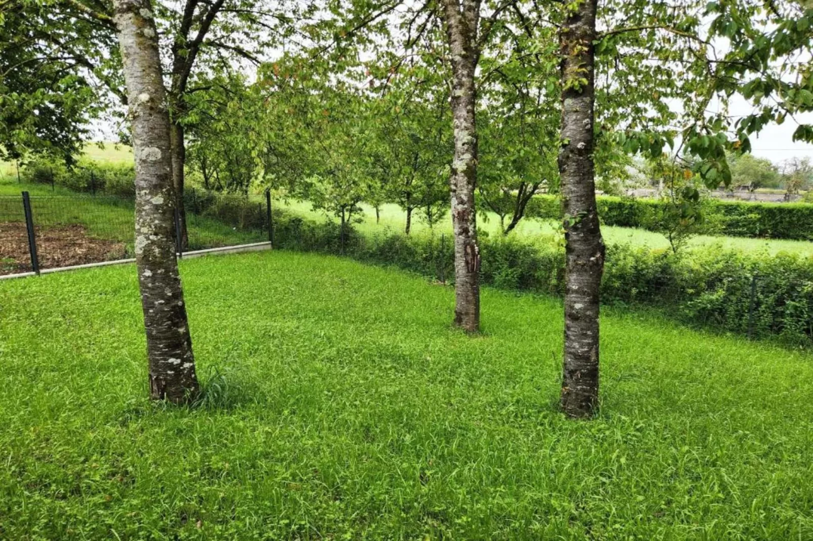 Maison de vacances - NETTANCOURT-Areas within 5km in summer