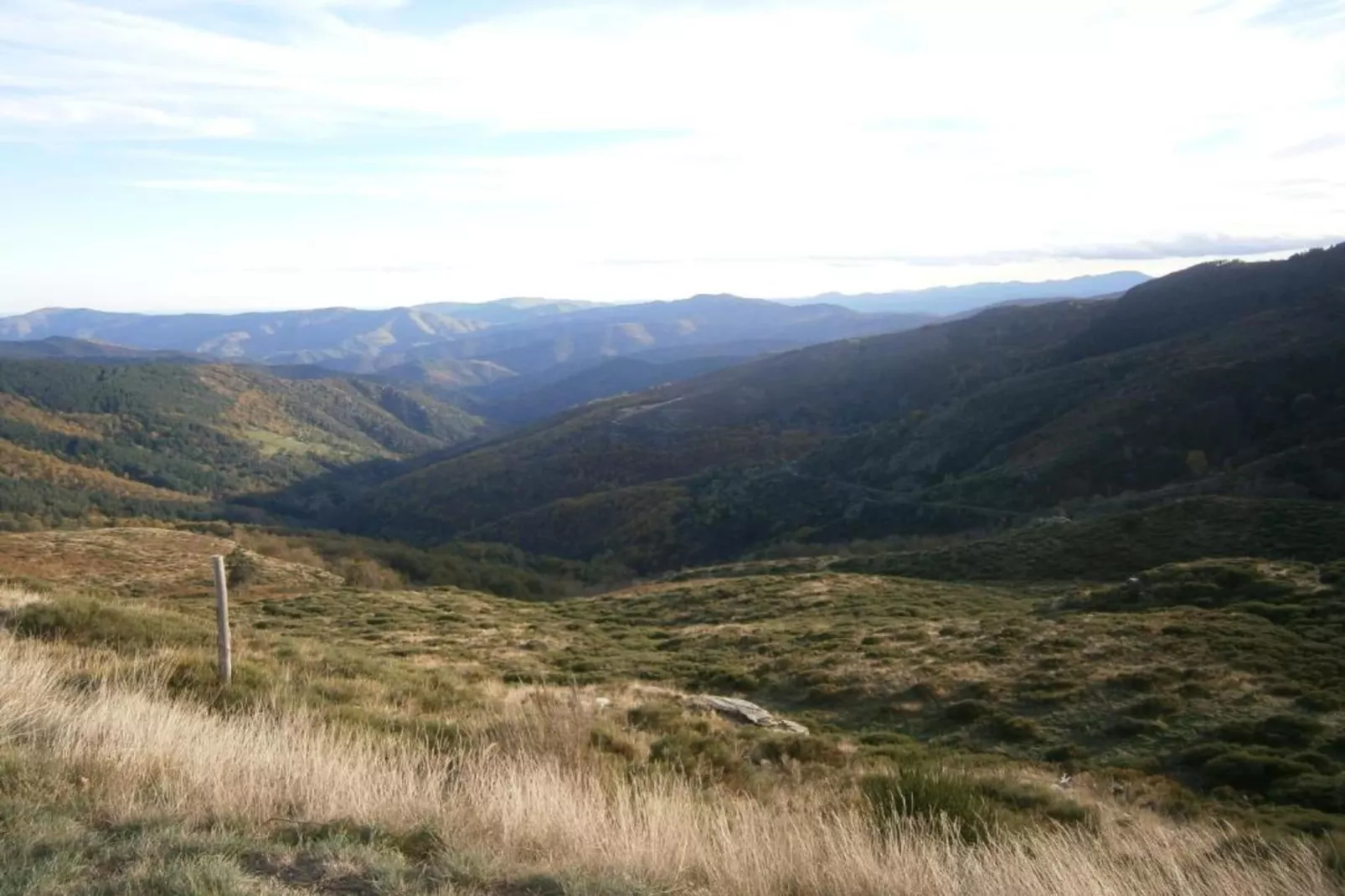 La Stub-Areas within 5km in summer