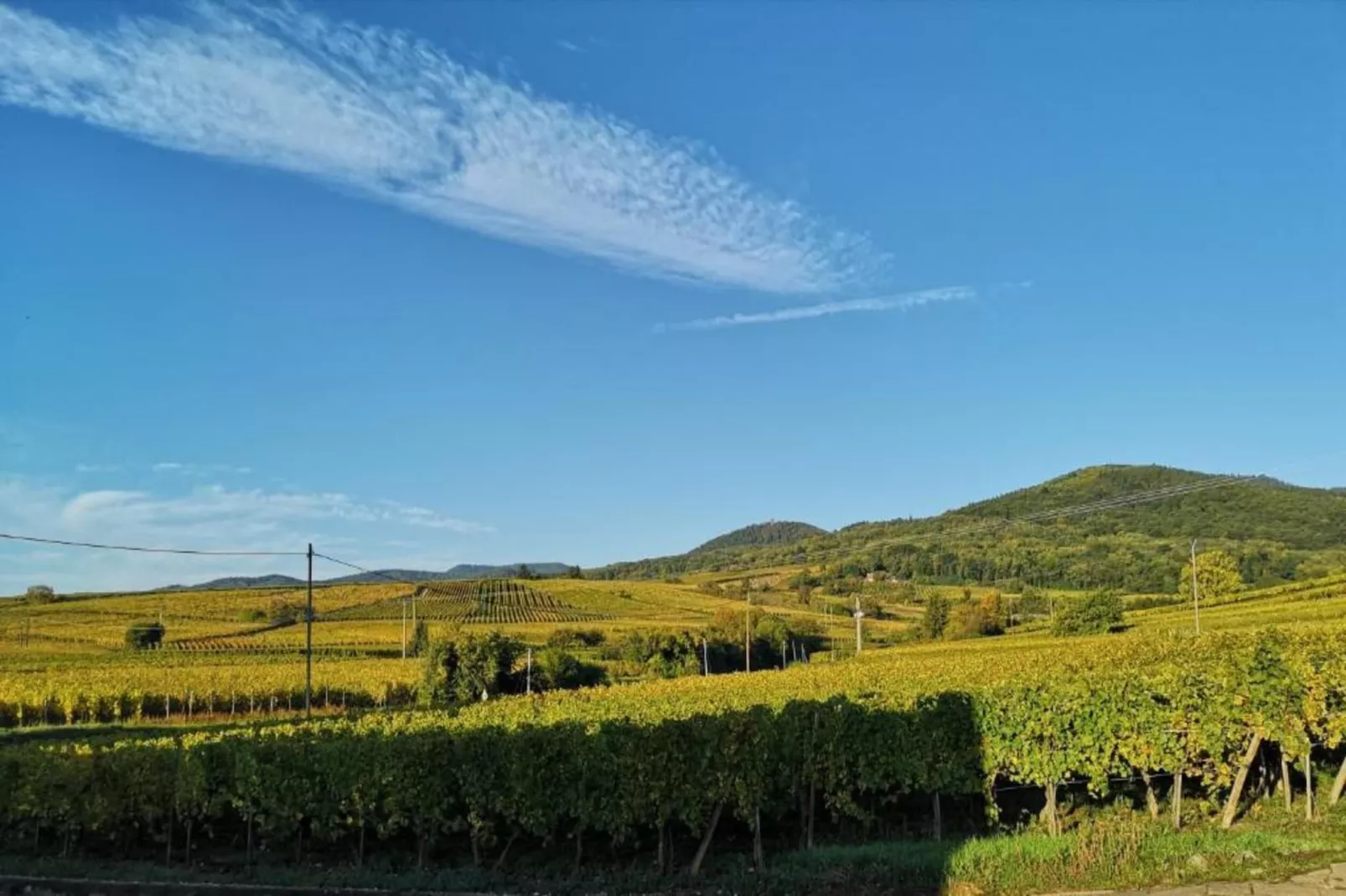 Le Domaine des Rois 3-Areas within 5km in summer