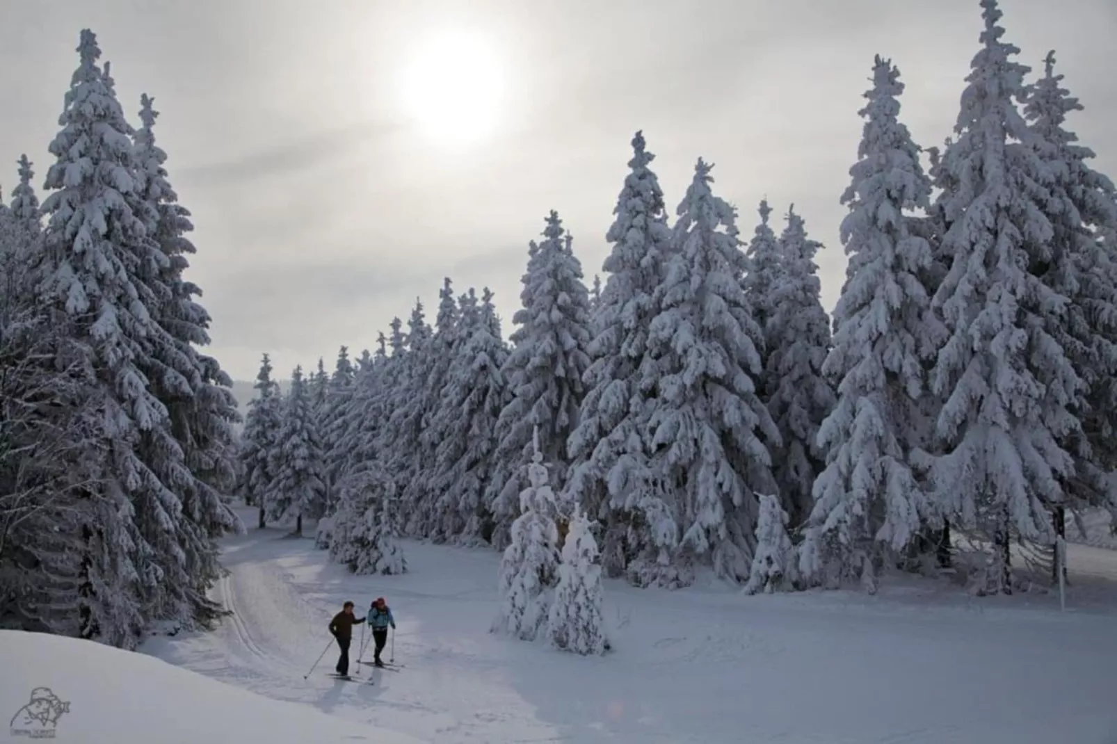 Résidence Le Hameau du Mottaret 3-Gebiet Winter 20 km