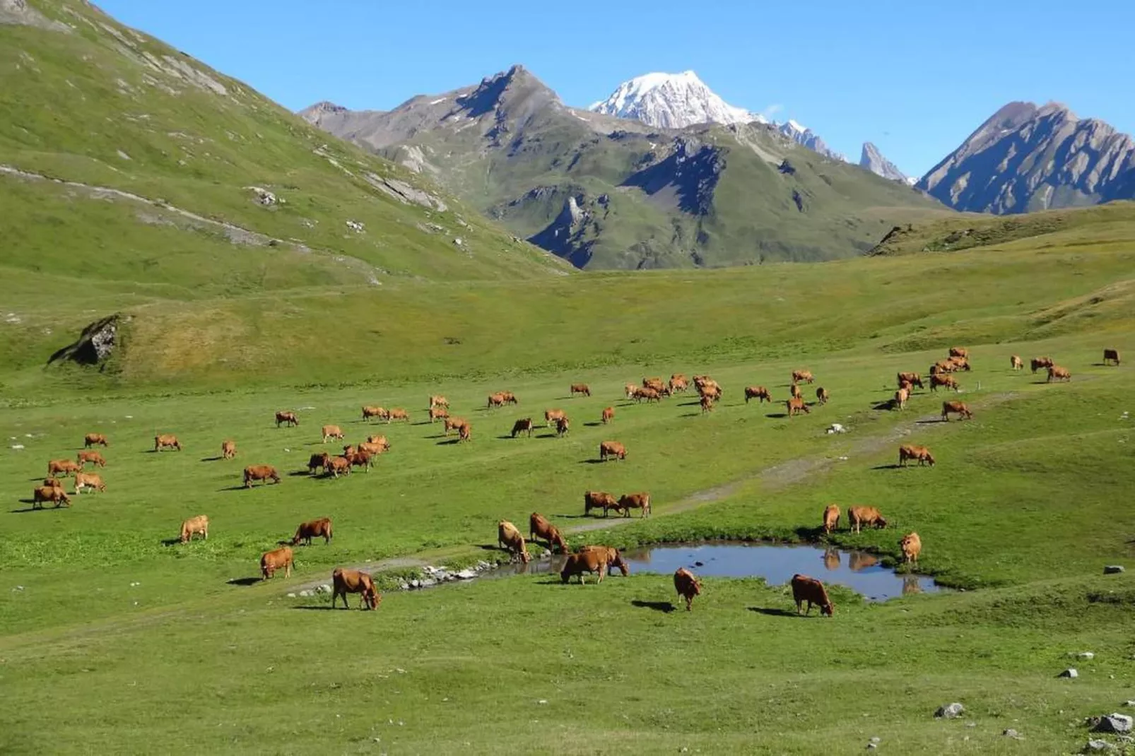 Chalet Le Refuge 2-Gebiete Sommer 20 km