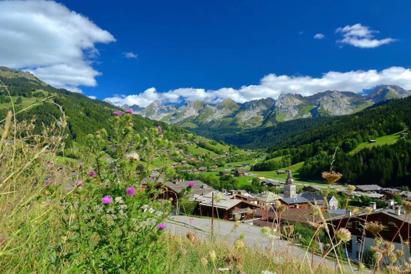 Residence Les Chalets d'Evian 4-Areas within 20km in summer