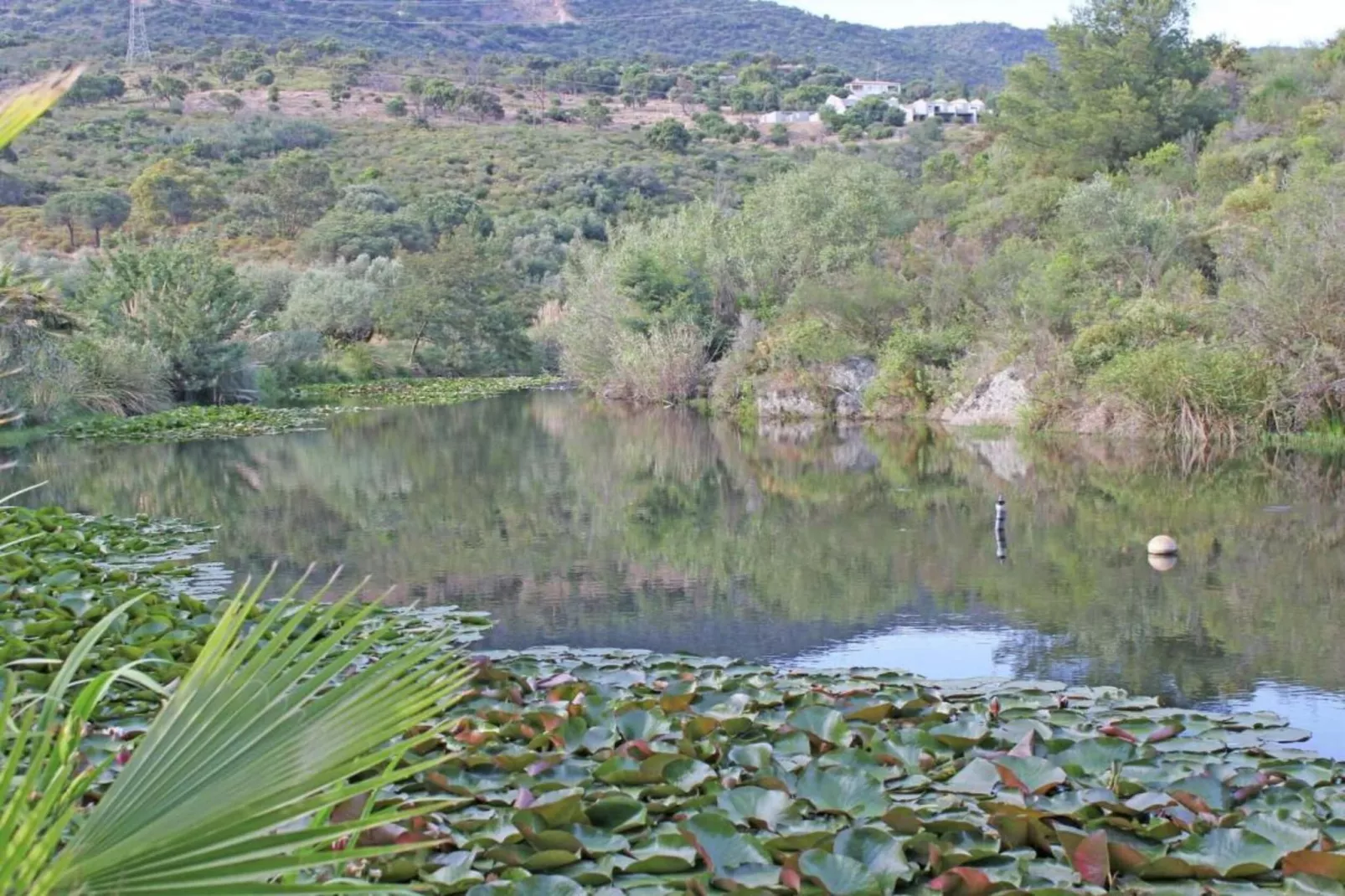 La Ratatouille-Areas within 20km in summer