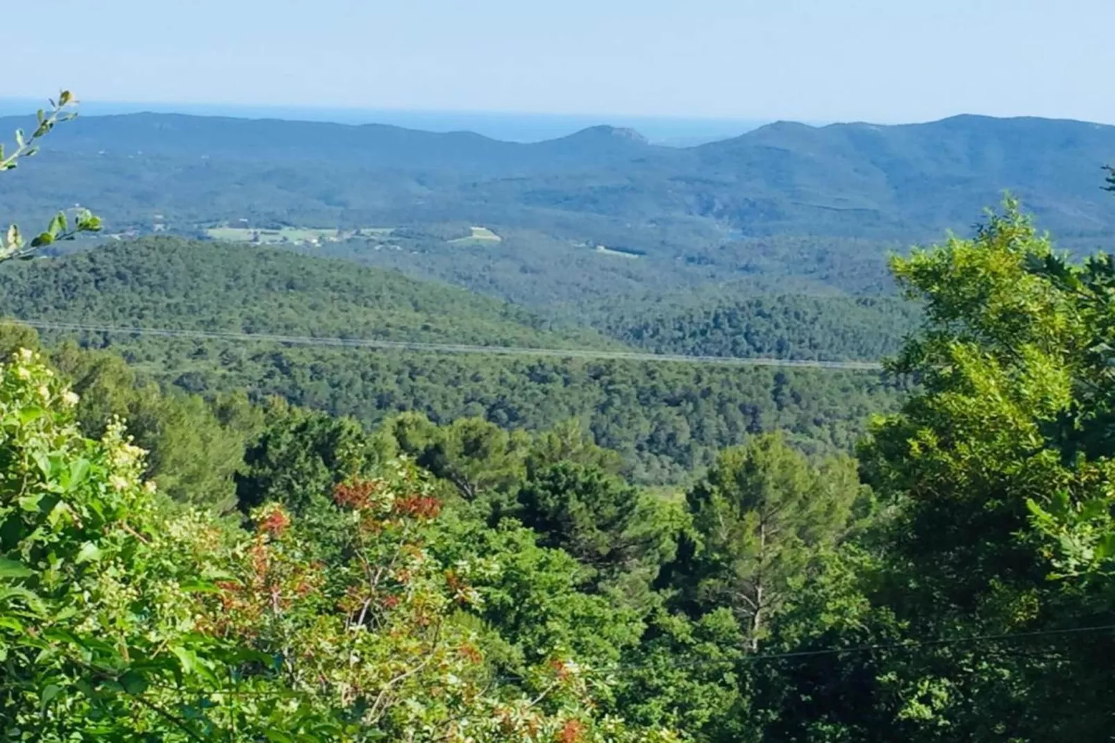 Jonila-Areas within 20km in summer