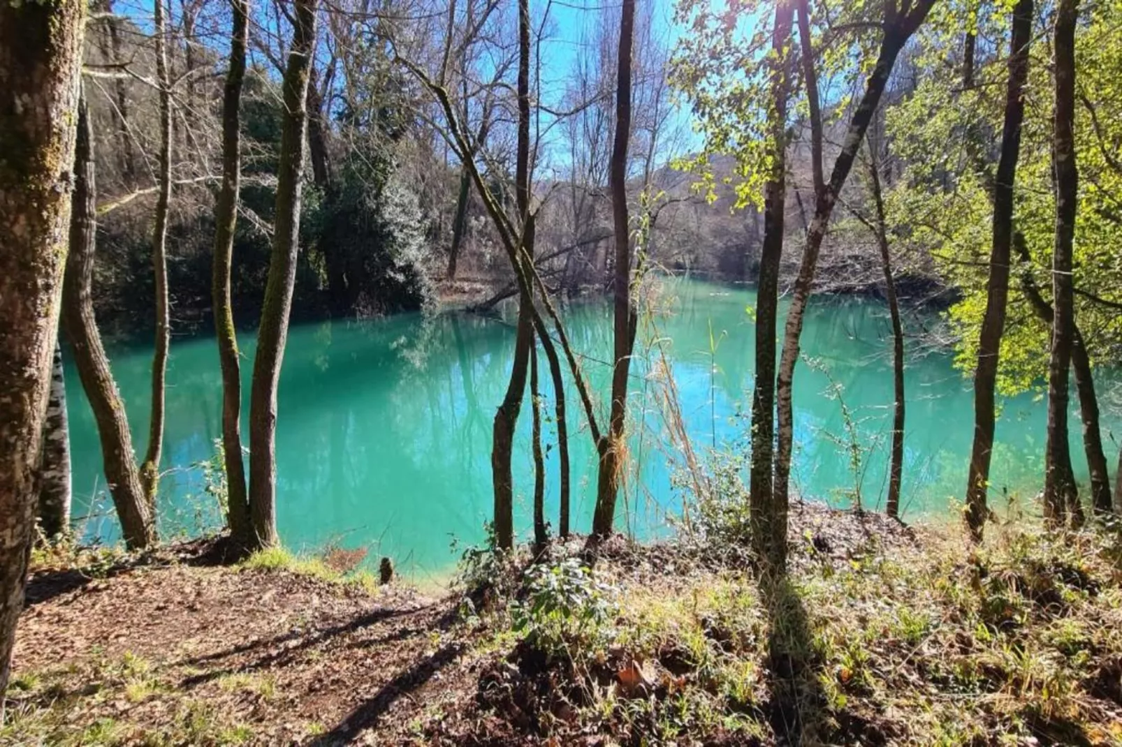 Verdi-Zones été à 20 km