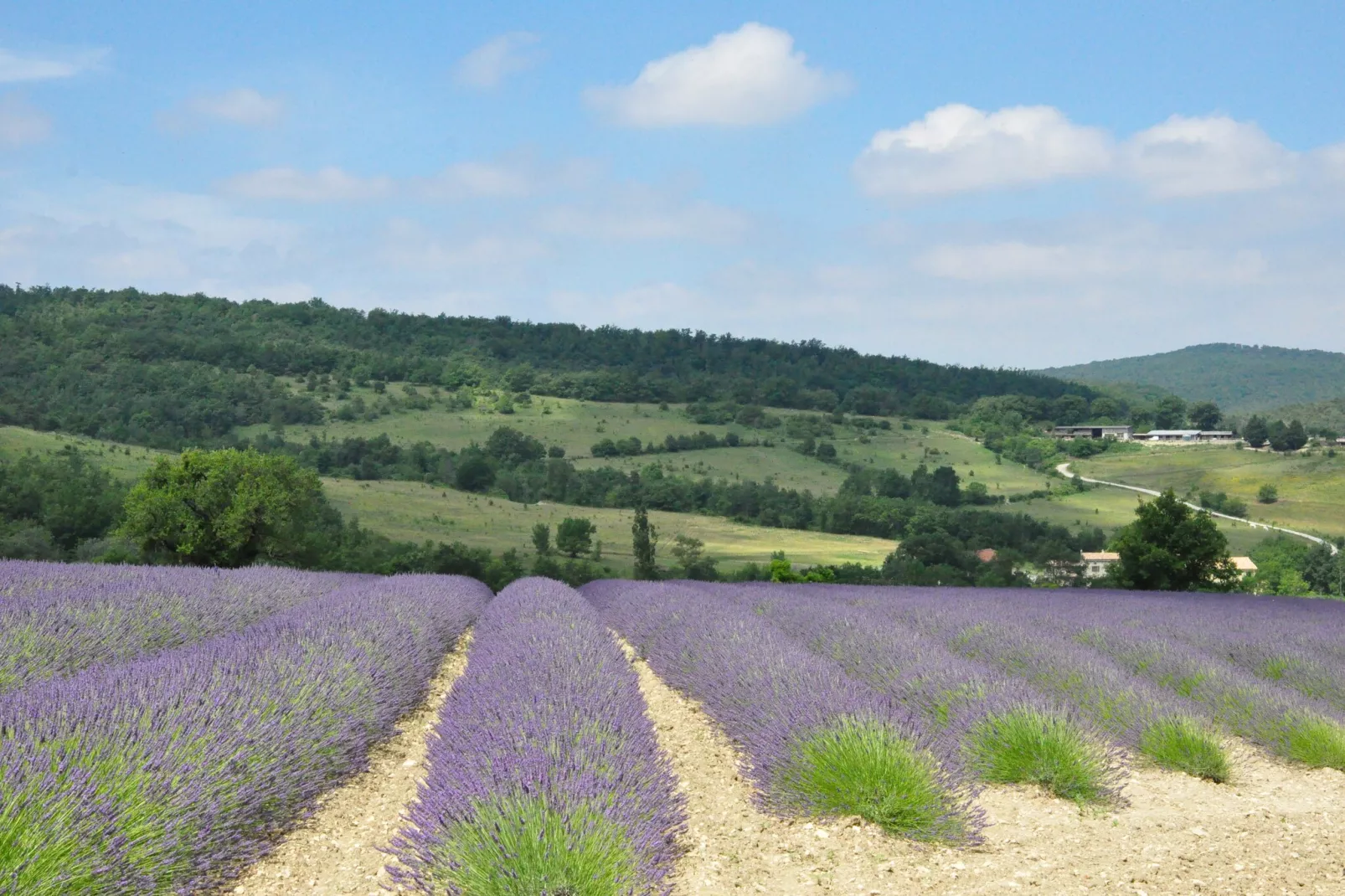 Villa Vida - Areas within 20km in summer