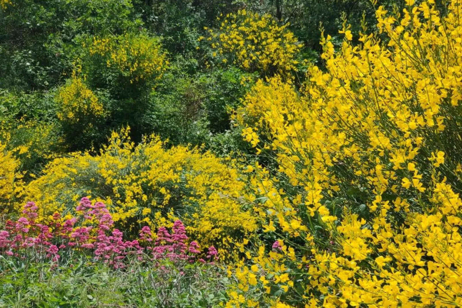 La Bastide des Chênes 1-Gebiete Sommer 20 km