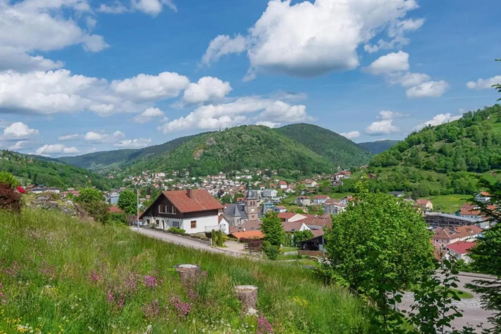 Le Renard-Areas within 20km in summer