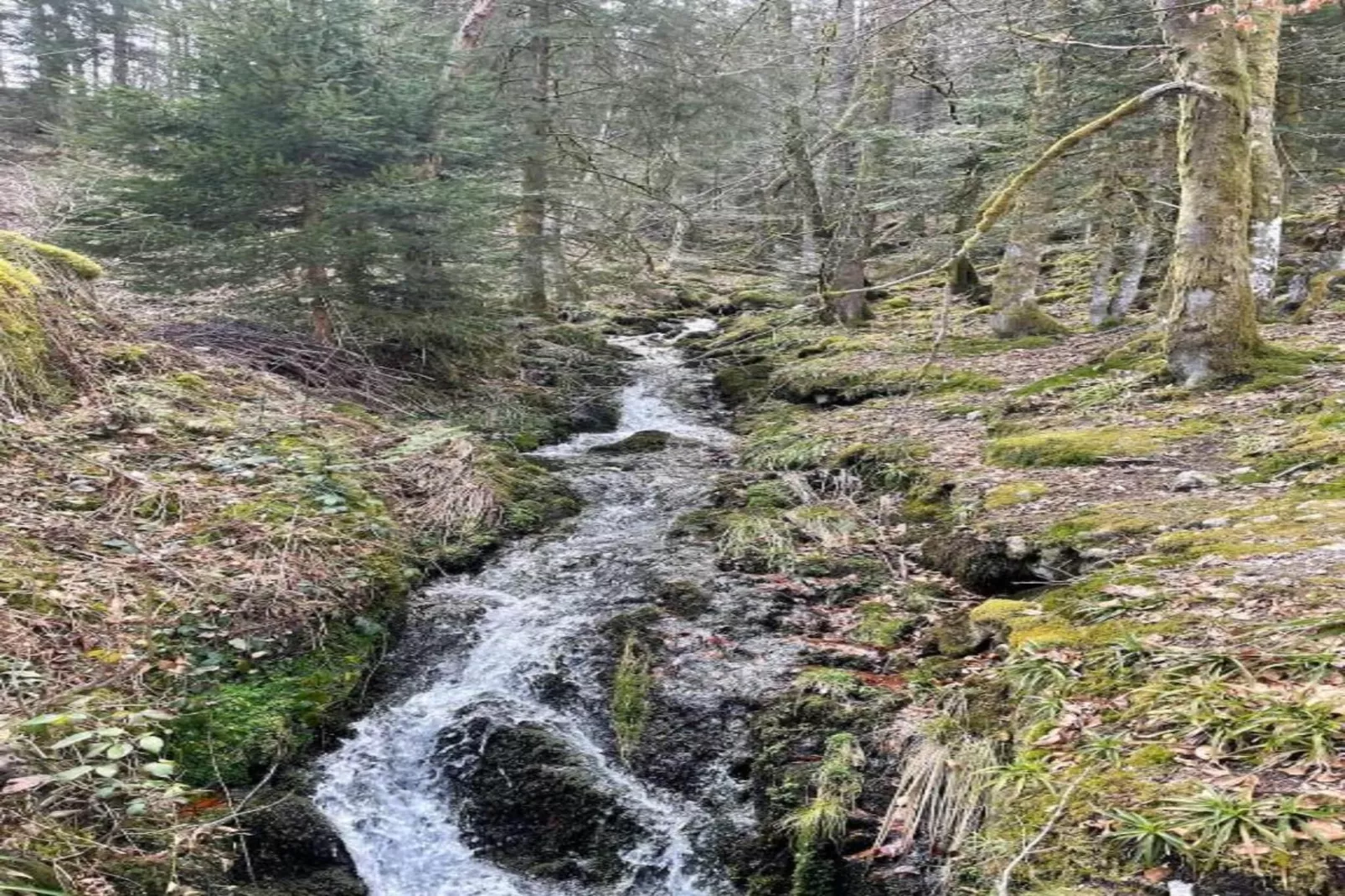 La Bergerie-Areas within 20km in summer