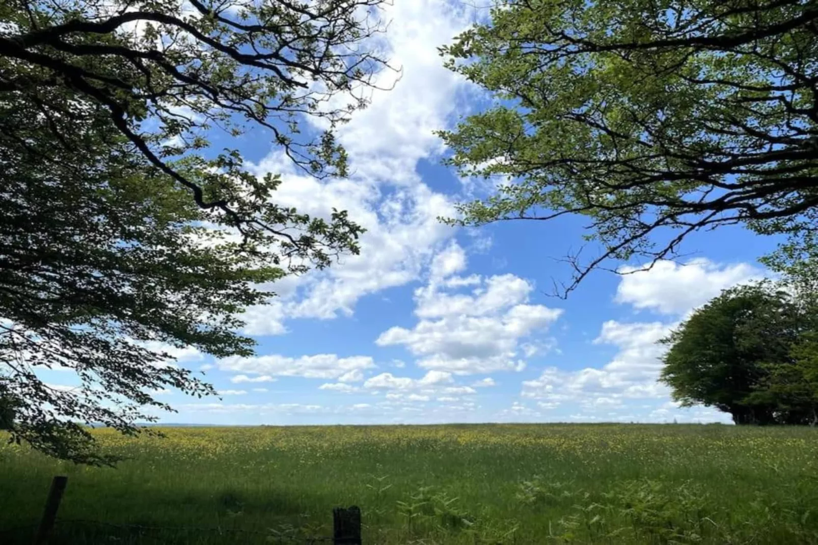 Higher House-Areas within 20km in summer