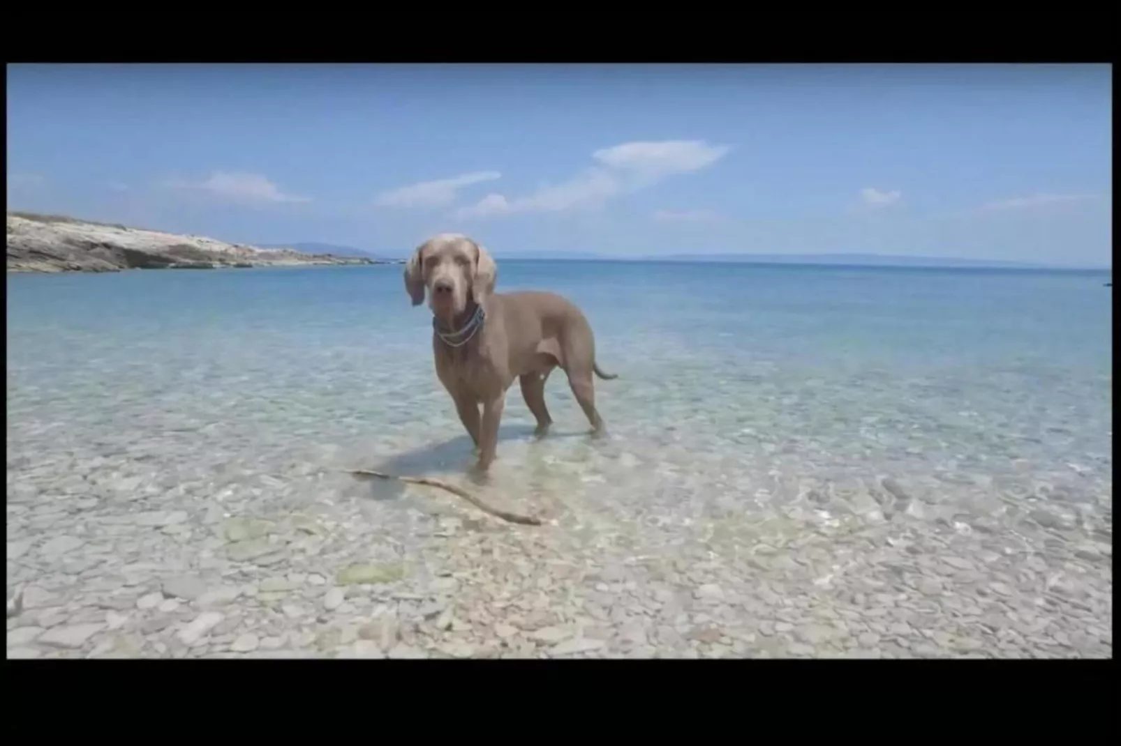 Apartment Dora-Areas within 20km in summer