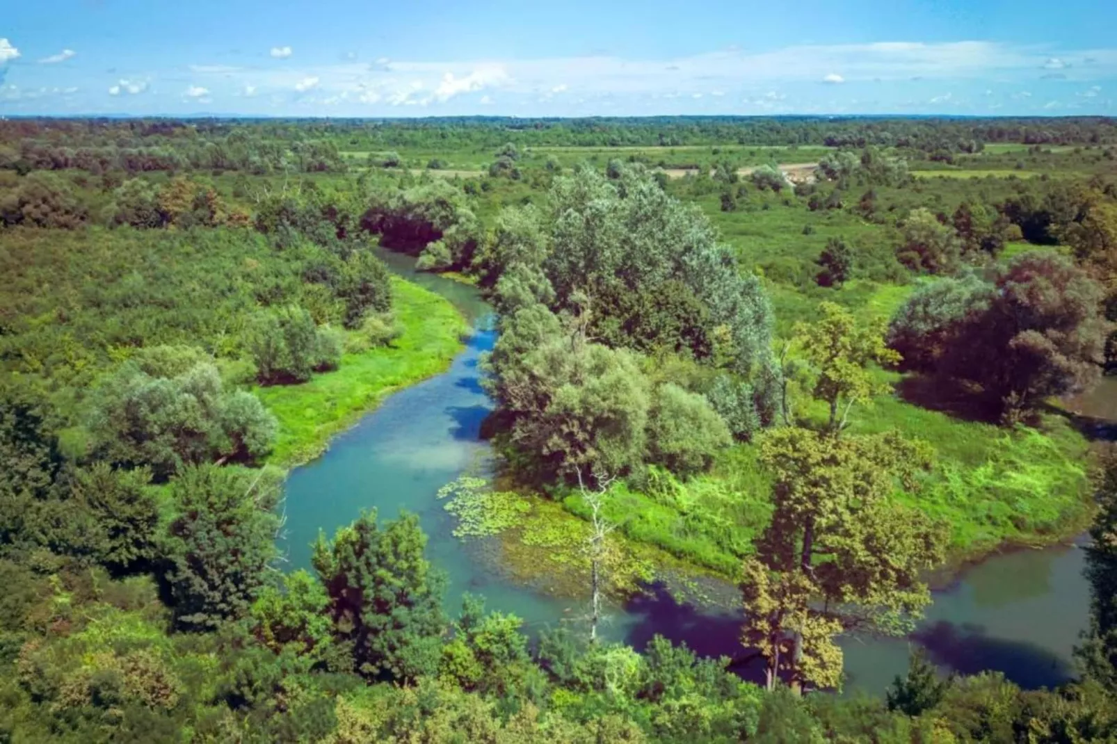 Holiday home near Zagreb-Areas within 5km in summer