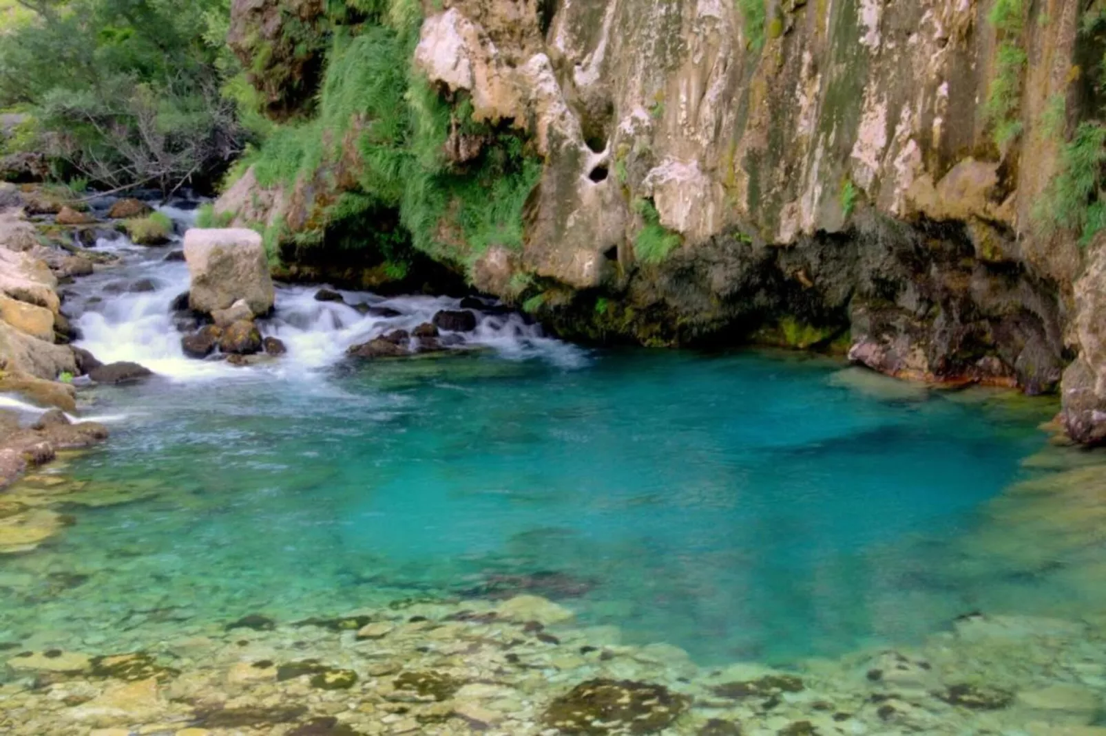 Drnis Dream-Zones été à 20 km