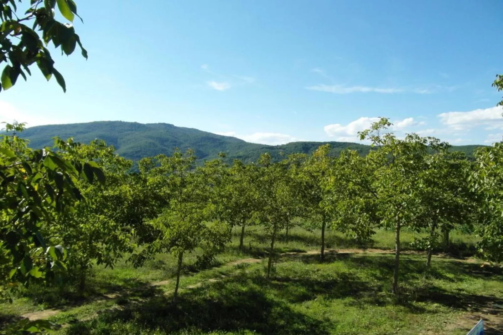 Appartamento per 6-Areas within 5km in summer