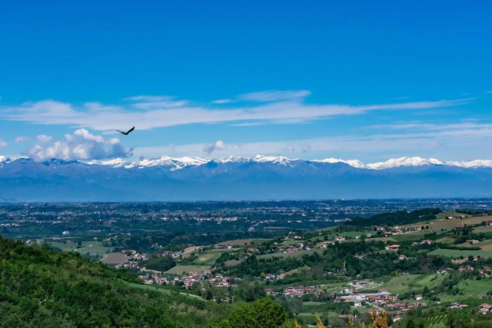 La Torre-Areas within 20km in summer