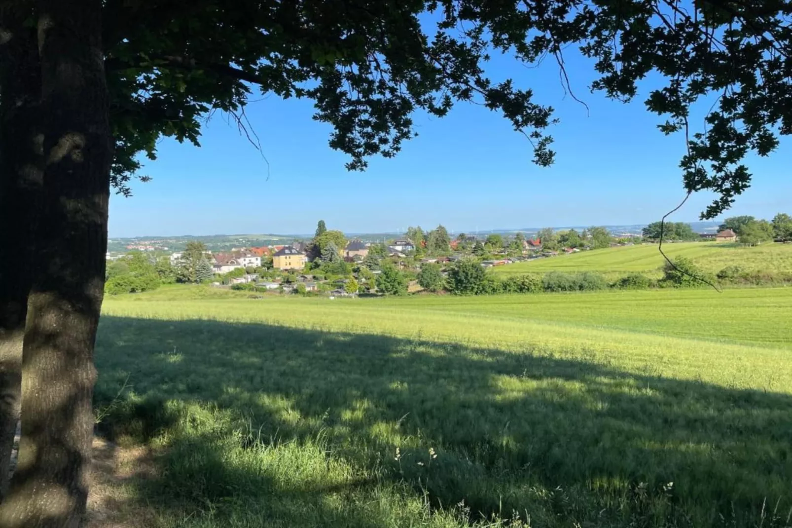 Priore-Areas within 20km in summer