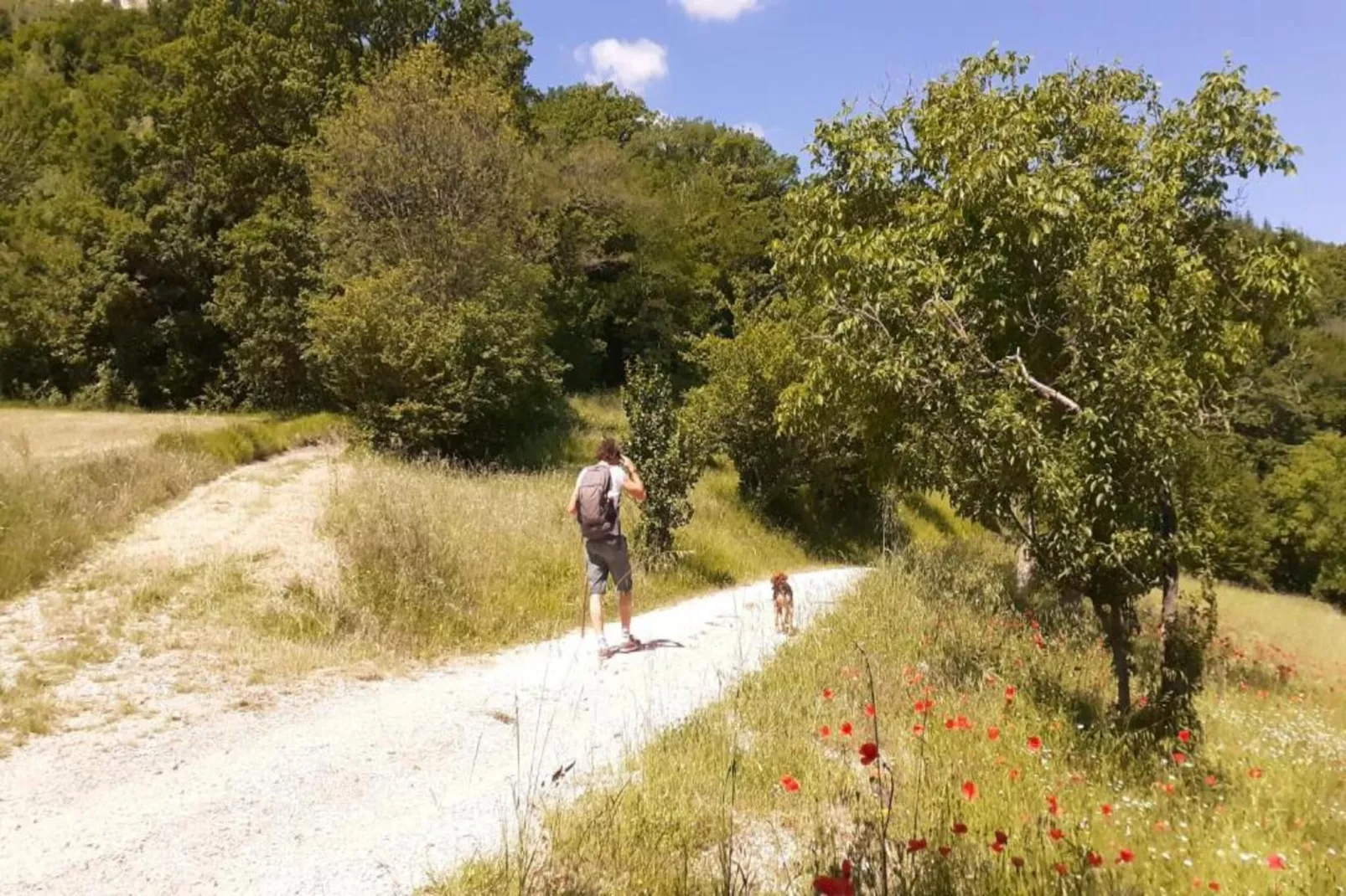 Villa Valtopina-Areas within 5km in summer