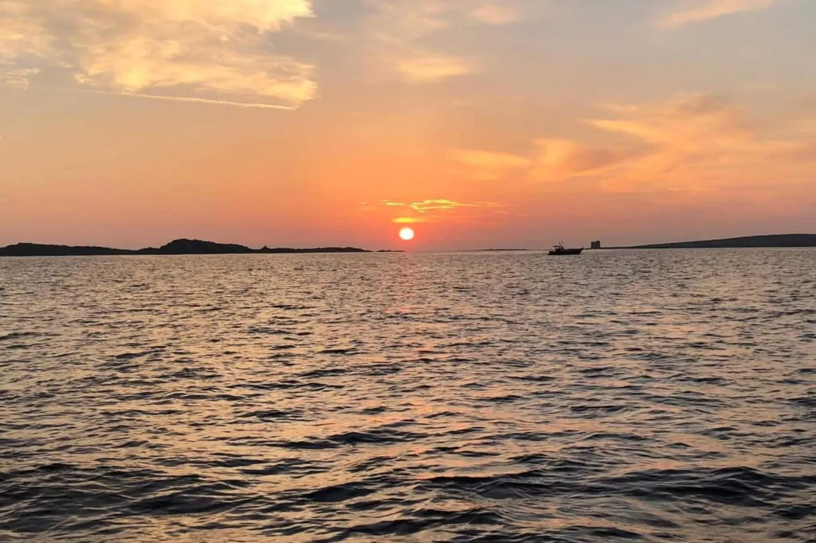 Capo Falcone Bilo4 Premium-Areas within 20km in summer