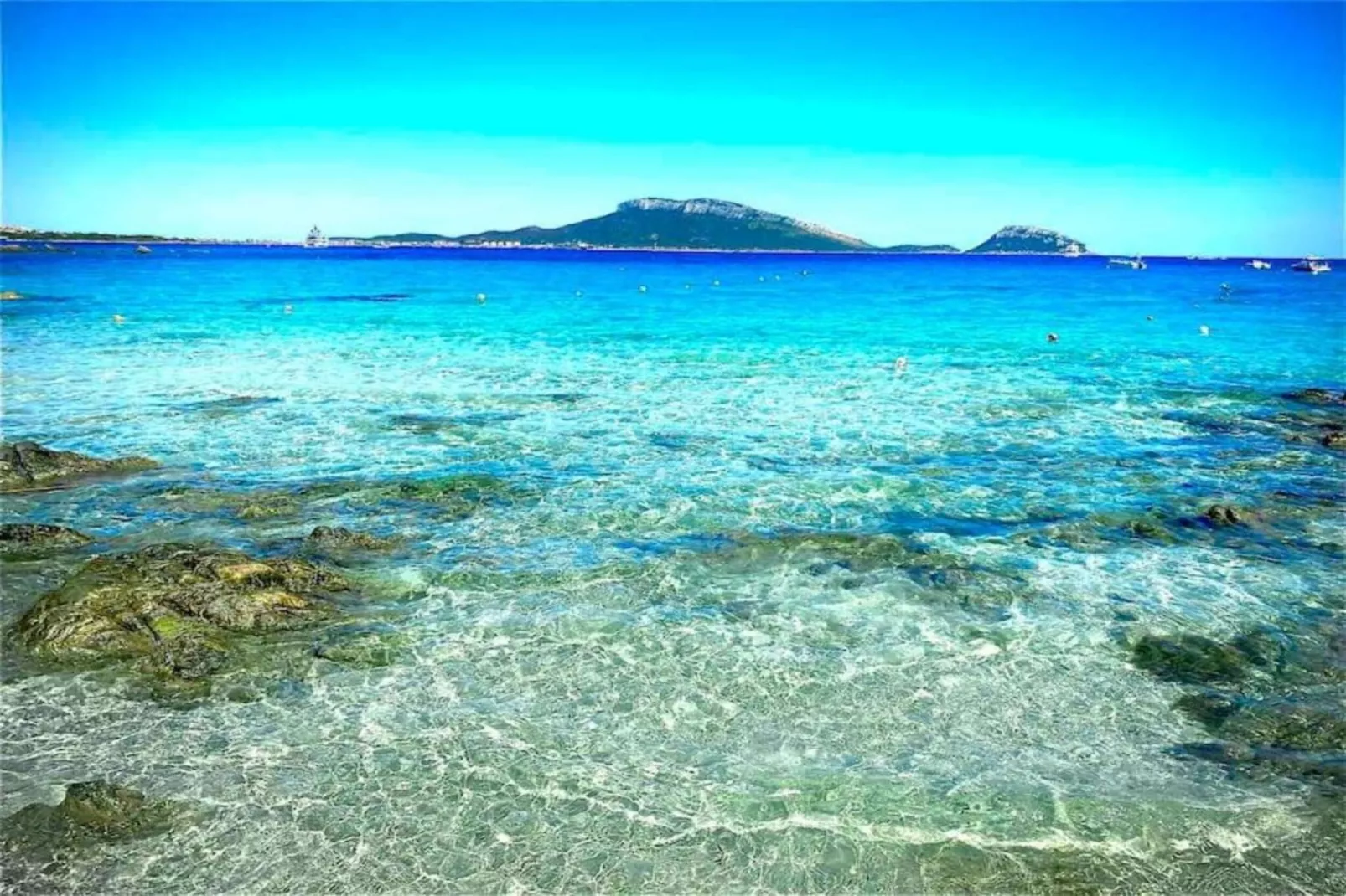 Mirti Bianchi Bilo-Areas within 20km in summer
