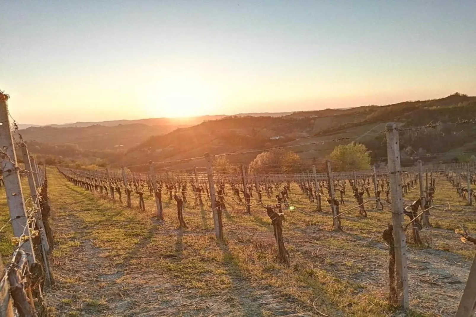 Nobile-Areas within 20km in summer