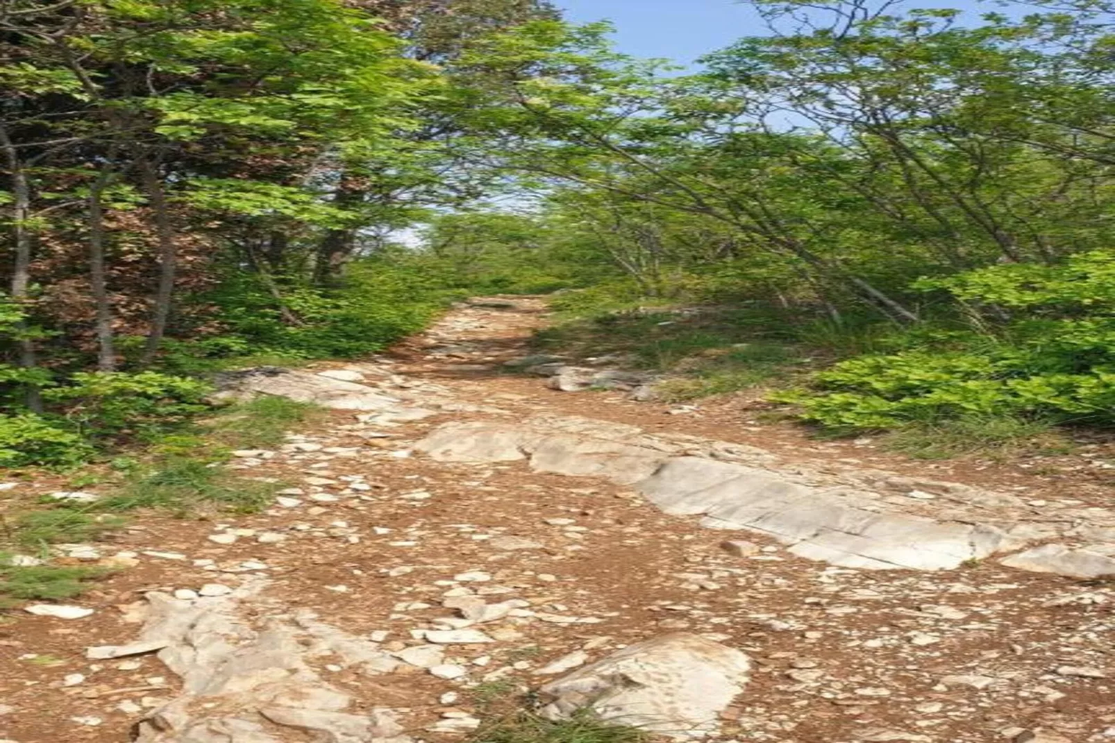 Casa dei Nonni-Areas within 20km in summer