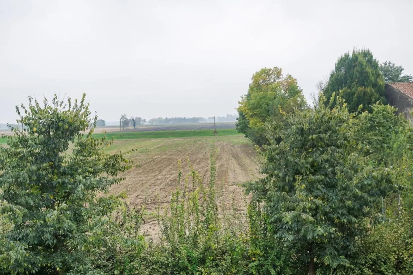 Violino Angelico 1 e 2-Areas within 20km in summer