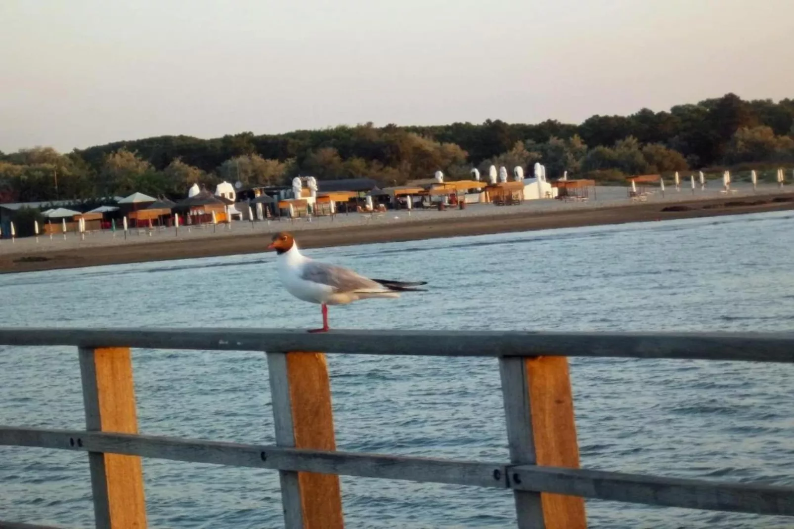 Oasi Bianca-Areas within 20km in summer