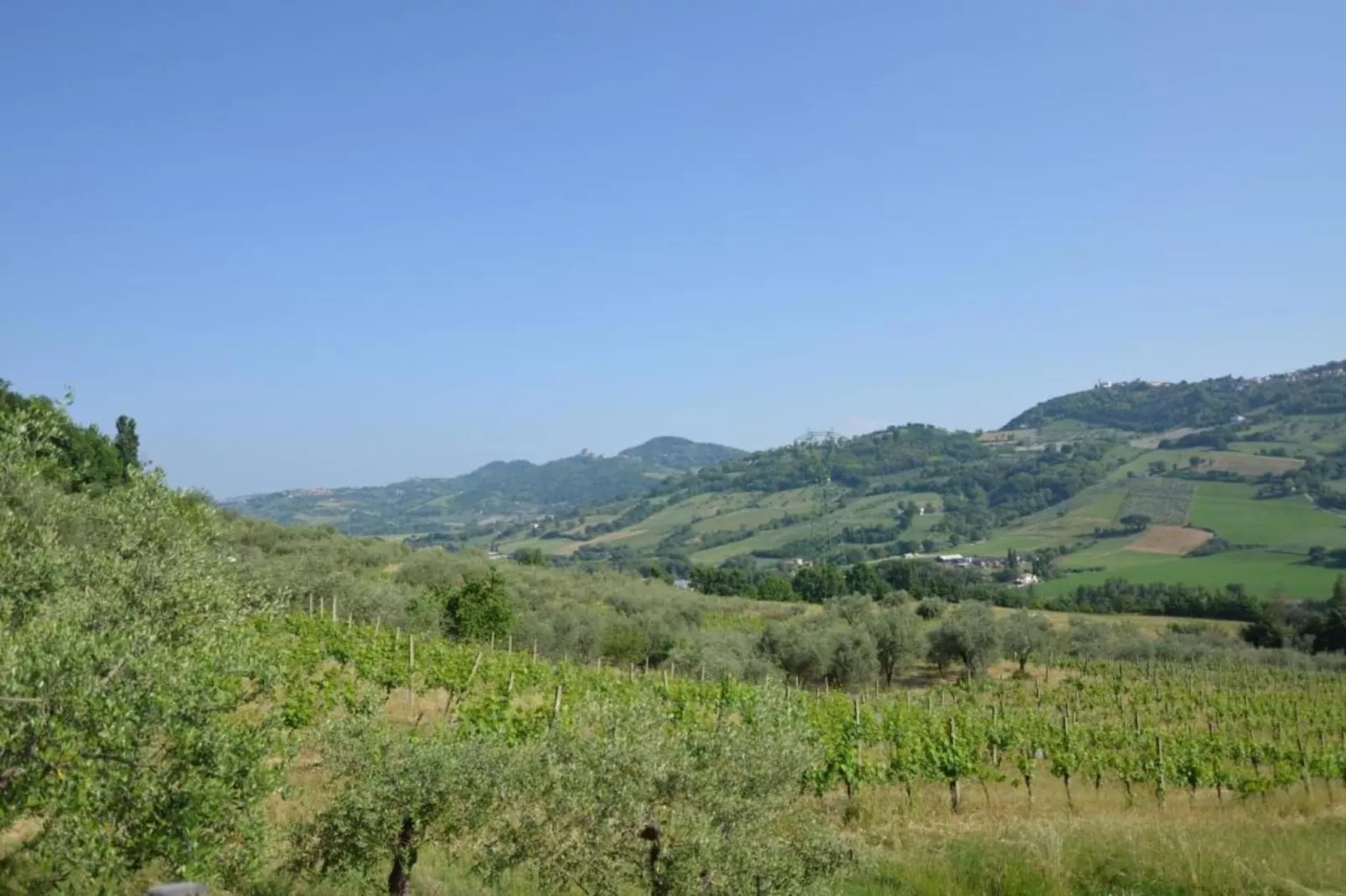 Sandro-Areas within 5km in summer