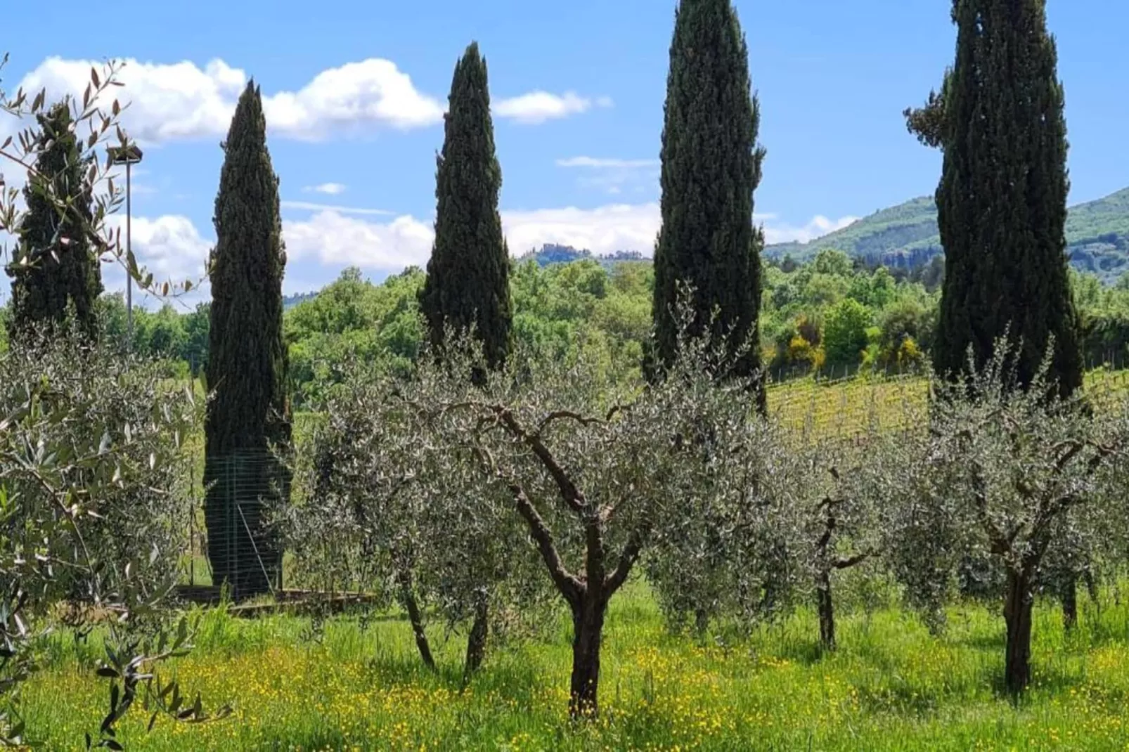 Il Coppo-Areas within 20km in summer