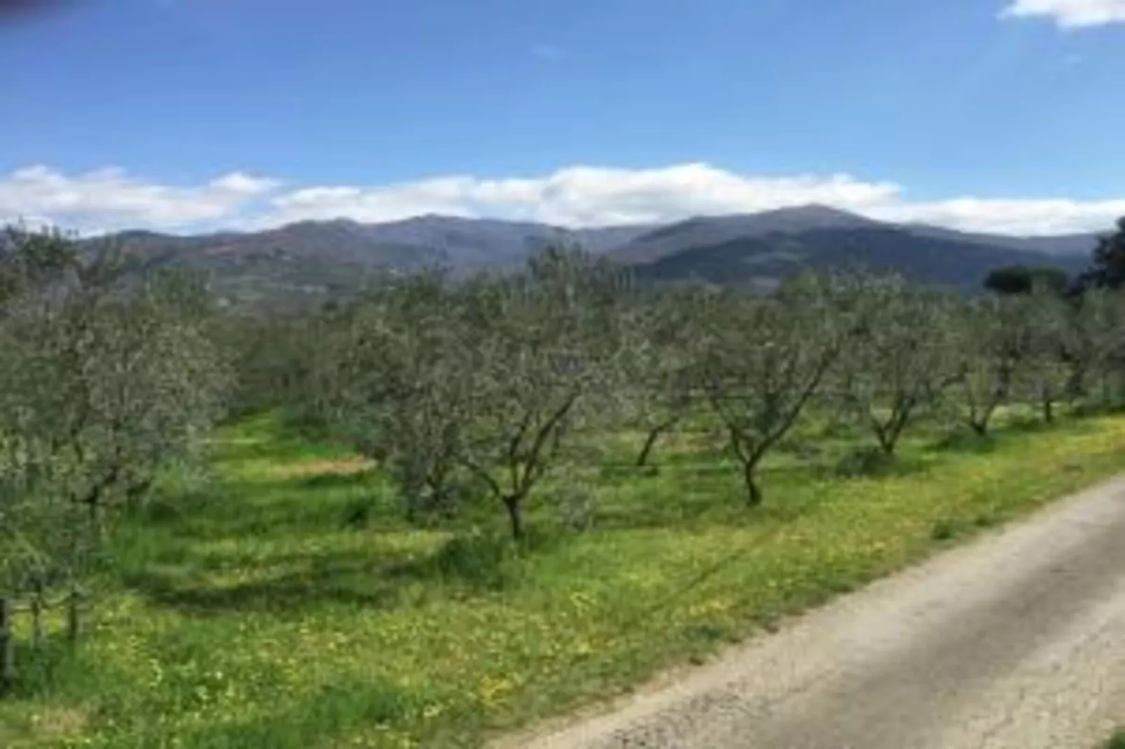 Monna Due-Areas within 20km in summer