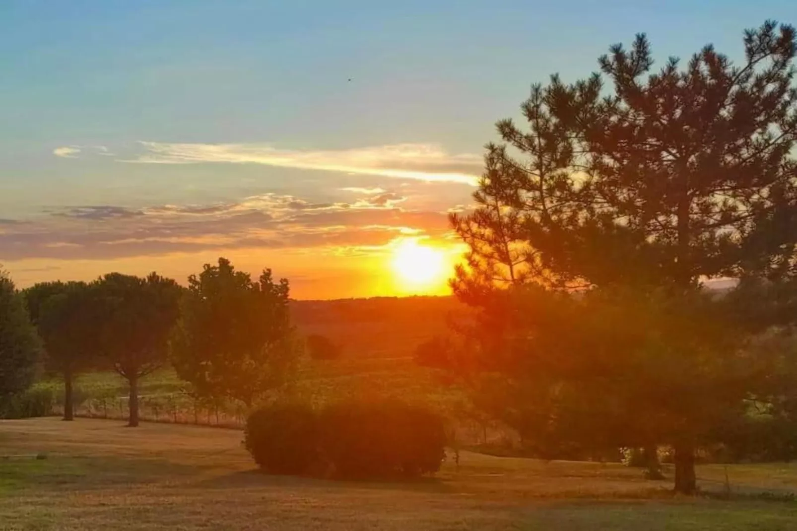 Camillo-Areas within 20km in summer